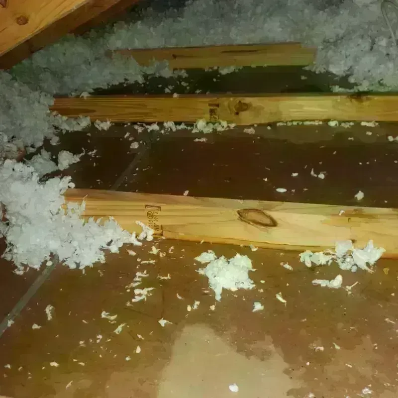 Attic Water Damage in Clarendon, VT